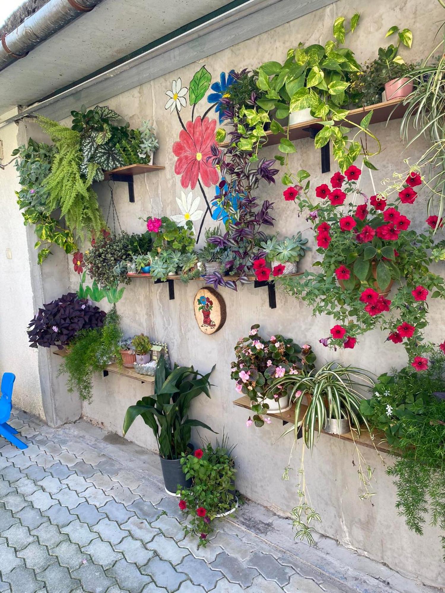 House Of Greenery クタイシ エクステリア 写真