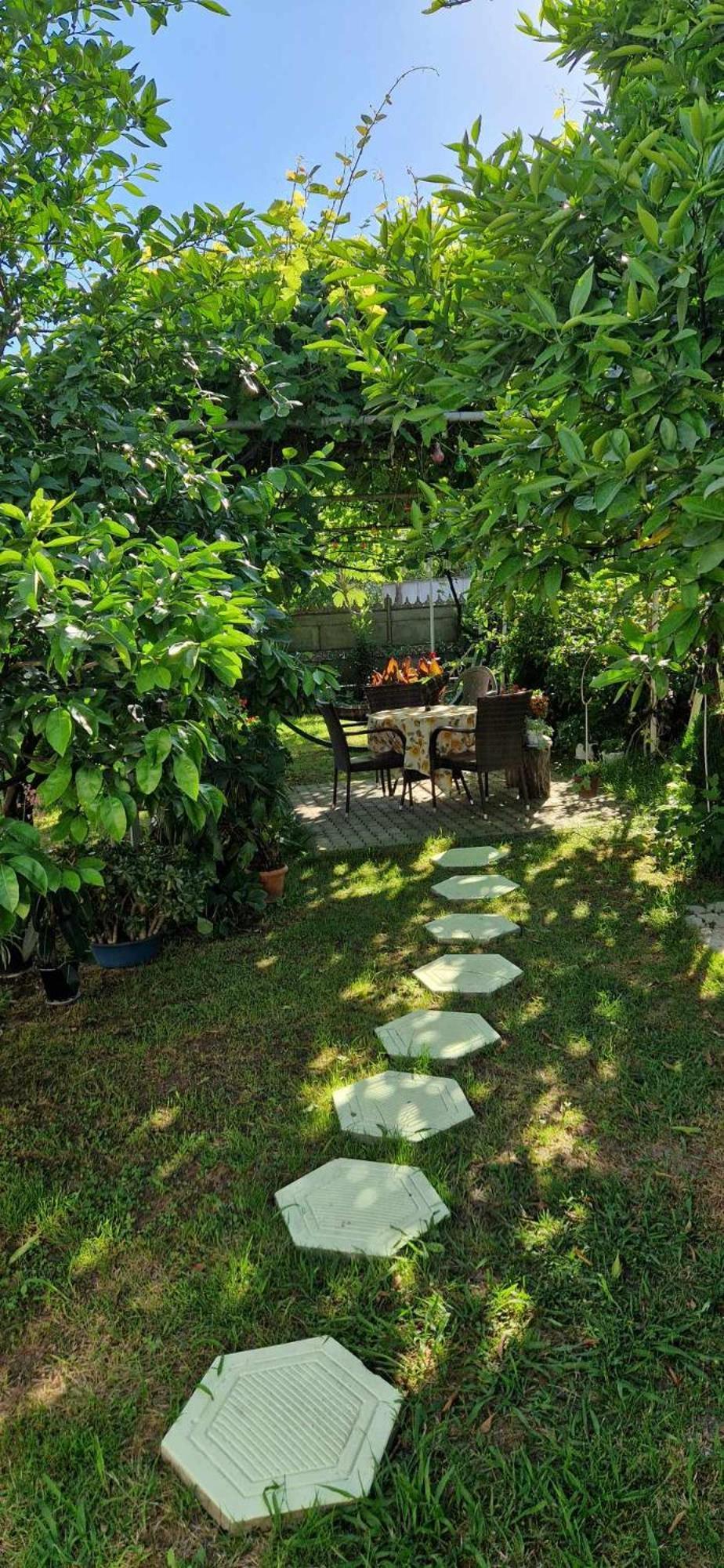 House Of Greenery クタイシ エクステリア 写真